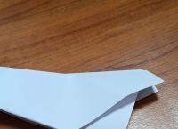 [会飞到自己手里的纸飞机]会飞到自己手里的纸飞机叫什么