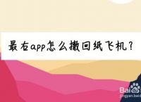 [纸飞机app怎么下载]纸飞机app怎么下载中文版