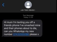 whatsapp无法发送sms验证码-whatsapp我们无法发送sms短信至您的电话号码