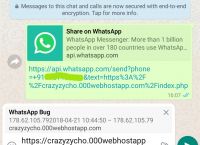 whatsapp下载后用不了-whatsapp下载了怎么用不了