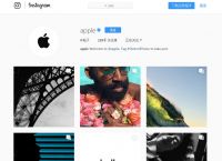 苹果下载ins软件怎么才能用-instagram官网入口下载加速器