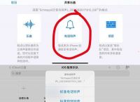 [苹果telegreat中文怎么设置]telegreat苹果中文版怎么下载