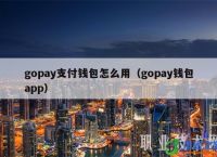 gopay支付平台注册下载-gopay中文版支付平台下载