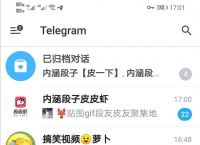 [中文版飞机聊天软件下载]飞机聊天app下载中文版