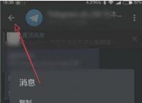 [Telegreat中文手机版下载]telegreat中文手机版下载苹果