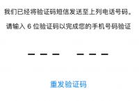 纸飞机收不到验证码怎么登录、纸飞机app为什么我的手机号不发验证码