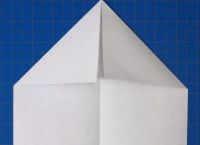 [怎么注册纸飞机]中国怎么注册纸飞机