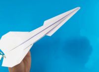 关于纸飞机怎么看小视频的信息