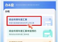 下载个人所得税、下载个人所得税app最新版