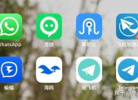 纸飞机app社交软件、纸飞机app怎么翻译成中文