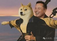 doge、doge是骂人的吗