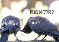 intp官网图片、intp nasa