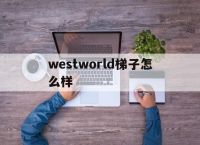 westworld梯子怎么样，westworld加速器官网入口