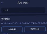 usdt充值教程下载，usdt怎么充值到交易所