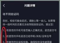 纸飞机网页版登陆收不到验证码，纸飞机app为什么我的手机号不发验证码