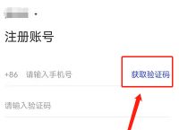 安卓小飞机收不到验证码，安卓小飞机收不到验证码怎么解决