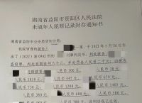 关于网下载会怎样通知你犯法了的信息