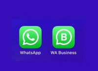 whatsapp官方中文版，whatsapp官网手机版 app