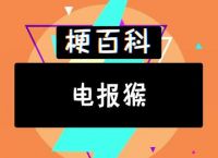 电报猴原视频无消音倒放，花果山电报猴无消音原视频