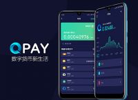 token钱包网页打不开，tokenpackage钱包