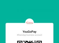 gopay，gopay是什么东西,正规吗