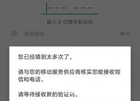 关于苹果whatsapp收不到验证码怎么办的信息