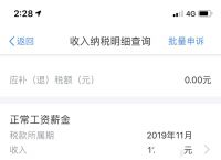 下载个人所得税APP是什么意思，下载个人所得税手机app下载是什么意思