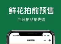 okpay官网版v2.0.0，okpay官网版和微信小程序的区别