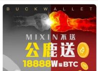 token数字钱包app下载，cotoken数字钱包官网下载