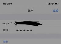 applestore无法登录怎么办的简单介绍