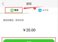 okpay钱包怎么提现，okpay钱包支付平台下载