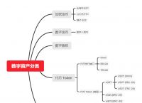 数字货币的类型，数字货币的类型以及区别