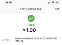 tu钱包没有usdt，usdt地址可以查到本人吗