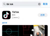 tiktok官网下载，tiktok官网下载 ios最新版本