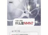 梯子PNV，梯子vqn官网