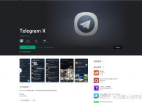 telegeramx电脑下载，telegeram灰色版本x下载