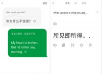 Skype是什么意思翻译，skype翻译成中文是什么意思