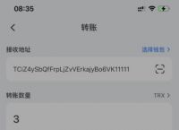 token钱包被下载过程，token pocket钱包下载不了