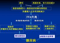 关于为什么糖尿病患者常伴有TG升高的信息