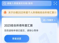 下载个人所得税有坏处吗，下载个人所得税app有什么影响