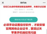 bittok币拓官网下载，bittok币拓怎么进不去了