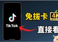 国际抖音tiktok官网入口，国际抖音tiktok官网入口手机版