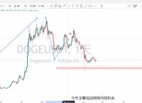 狗狗币涨幅超400倍:狗狗币暴涨超30%创历史新高