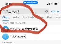telegram怎么改名字:telegram名字颜色怎么弄