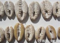 一般等价物有哪些:一般等价物有哪些具体的特征和性质?