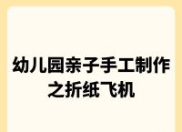 三步折一个纸飞机过程文字:怎样折一个纸飞机好看一点的