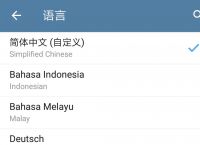 关于telegramforwindows的信息