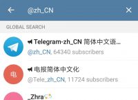 telegeram下载官网:telegeram正版下载中文版