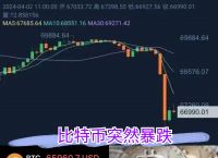 虚拟币是什么东西啊怎么玩:虚拟币是什么东西啊怎么玩的
