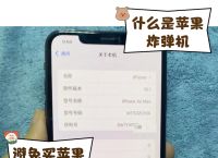 苹果飞机中文版下载安装:苹果版飞机游戏大全手机游戏